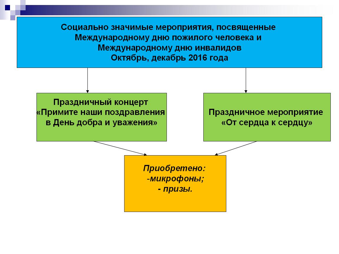 Реализация социального мероприятия